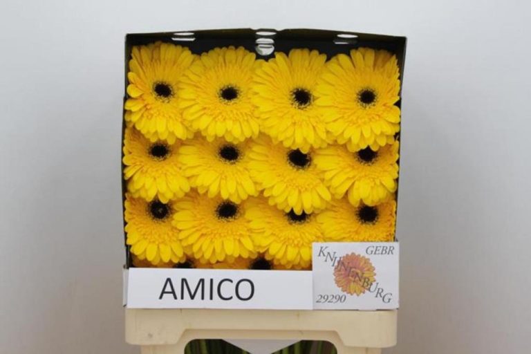 Vhbw 3x batteria compatibile con Brondi Amico 2 Diamond, Elegant